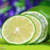 Limão Verde Anyue de Sichuan Atacado Dropshipping 1/2/3/5 Jin Acima de 60g Bebidas de Chá com Leite Fruta Fresca Ácida