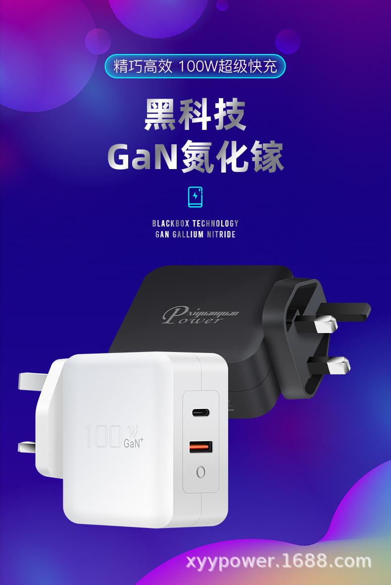 PD100W氮化镓C+A英规