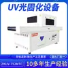 Dongguan equipo automatizado no estándar para curado por luz de teclados de computadora Impresión en superficie PET Secado UV proveedor