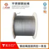 Venda Direta de Fábrica Estrutura 1x7 Cabo de Aço Inoxidável 304/316 1,0/1,2/1,5mm Malha de Arame de Ferro Cabo de Aço