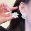 Presilhas de Orelha Estilo Coreano Sem Furo, Brincos com Design Estiloso para Mulheres, Presilhas de Osso da Orelha com Borboleta e Pérola de Franja Longa, Alto Padrão