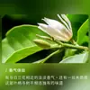 Aceite Esencial de Hoja de Orquídea Blanca de China, Aceite Esencial de Aromaterapia, Aceite Esencial para Masajes, Venta al por Mayor de Materias Primas, Uso de Muestras Industriales