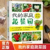 Versión Ilustrada: Te enseño cómo cultivar verduras desde cero. Huerto casero. Cultiva Verduras Sanas y Verdes en Casa