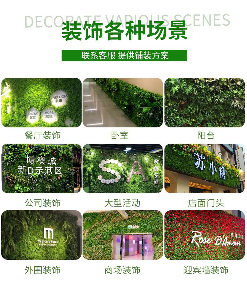 植物墙_03