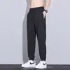 Pantalones de Hielo de Seda para Hombre 2026 Verano Pantalones Largos Pantalones Casuales Pantalones Deportivos Verano Sueltos Cómodos Delgados para Jóvenes