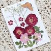 Garrafa de Água Transparente Marcador de Livro com Flores Secas Jardim de Infância Crianças Artesanato Manual Espécime de Planta Presente de Feriado Florista Salão