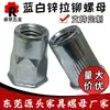 Porca Rebite com Cabeça Chata Costas Verticais, Aço Carbono, Pequena Cabeça Escareada, Semi-Hexagonal, Galvanizado Azul e Branco