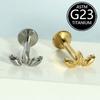 Joia para Piercing Corporal em Titânio F136 1.2mm Unha de Lábio Unha de Osso da Orelha Moda Novo Fabricante Ponto de Venda Direta Venda Individual