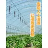 Aspersor Atomizador de Micro-Niebla Giratorio Colgante para Invernadero Sistema de Aspersión Automático Aspersor Colgante Riego por Niebla de Agua Aspersión Automática de Pesticidas Riego