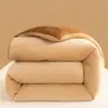 Colcha de terciopelo de leche de doble cara grado A bordada para primavera y otoño, engrosada 5 kg, núcleo de algodón cálido, manta de invierno para dormitorio individual