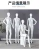 Mannequins Pintados de Corpo Inteiro para Lingerie e Roupa Íntima, Modelos Masculinos e Femininos para Adereços de Vitrine de Loja de Roupas, Mannequins com Suporte