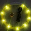 Collar Luminoso para Perro Collar para Mascota Collar para Perro Collar de Fibra Óptica de PVC Carga USB Collar Luminoso LED para Perro