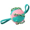 Juguete Sonoro Popular para Masticar, Pelota Dispensadora de Premios, Juguete para Perros, Frisbee para Exteriores - Empresa Mayorista Fabricante de Artículos para Mascotas