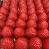 Juguete Squishy de Fresa Grande Brillante al Aceite Estilo Mismo de Xiaohongshu Transfronterizo, Simulación Realista de Comida, Artículo Popular de Celebridad de Internet, Juguete para Aliviar el Estrés Similar a Slime