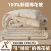 Colcha de Inverno Espessa 100% Algodão Puro Classe A para Mãe e Bebê, Colcha para Primavera e Outono, Núcleo de Colcha para Crianças para Todas as Estações, Colcha de Algodão 100% de Xinjiang