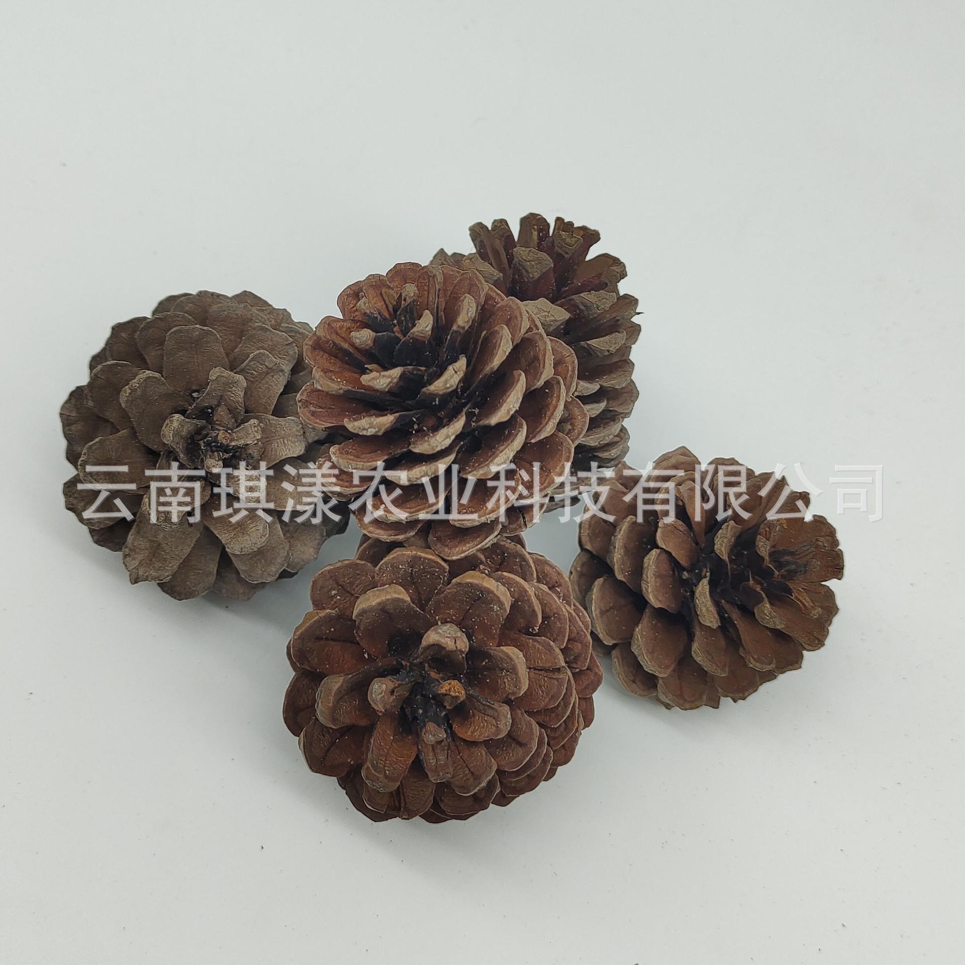 微信图片_20201016103557.jpg