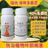 Guoguang 40% Carbendazim Planta Flor Oídio, Mancha Negra, Antracnosis Especial Carbendazim Fungicida General