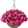 Amazon Transfronteiriça Primavera e Verão Jardinagem Estrutura de Ferro Cesto de Flores de Coco Pendurado Vaso de Flores Cesto Suspenso de Fibra de Coco Vaso Suspenso para Orquídeas Vaso Suspenso Tamanho Grande