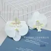 Película Flor Pequeña de Phalaenopsis Tacto de Alta Simulación Phalaenopsis Vacaciones de Verano Procesamiento de Tocados DIY Gorro de Graduación