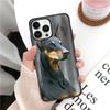 Funda de teléfono Doberman linda para iPhone15 Perro divertido