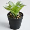Ventas Directas de Fábrica Planta Creativa de Simulación Agave Flor Falsa Planta Oficina Planta Verde Flor de Plástico