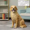 Escultura de Animales Creativa Artesanía de Resina Simulación Perro Golden Retriever Adornos Modelo Perro Guardián Adornos para Sala de Estar Hogar