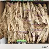 Ginseng da Montanha Changbai, Ginseng Selvagem, Ginseng Seco ao Sol da Vida Tríplice do Nordeste, Ginseng Branco da Floresta, Ginseng de Múltiplas Especificações, Raiz Inteira