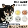 Pelota Nueva para Juguete de Mascota con Huellas de Pata, Pelota de Ejercicio para Autoentretenimiento, Juguete para Perro para Limpieza Dental, Suministros para Mascotas Transfronterizos