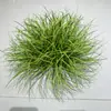 Hierba Artificial Decoración de Interiores Paisajismo Exhibición en Ventana Mobiliario Suave Plantas Artificiales Adornos Paquete Otro Musgo Artificial Hecho a Mano