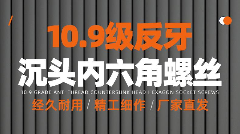 10.9级高强度反牙沉头内六角螺丝_01_01.jpg