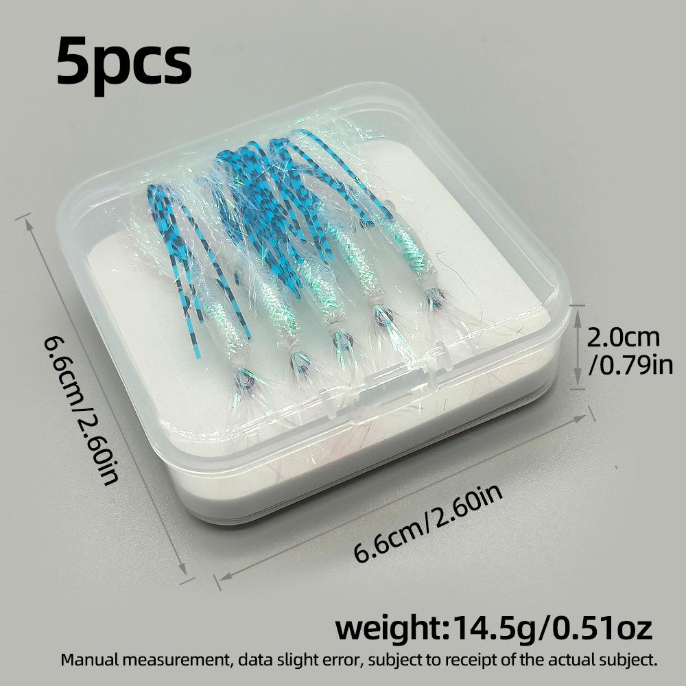 XB024夜光须鱿鱼02