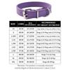 Novedad de Alta Venta Accesorios para Mascotas Collar de PU con Relieve Impermeable y Resistente a las Manchas Collar para Perros Grandes, Medianos y Pequeños