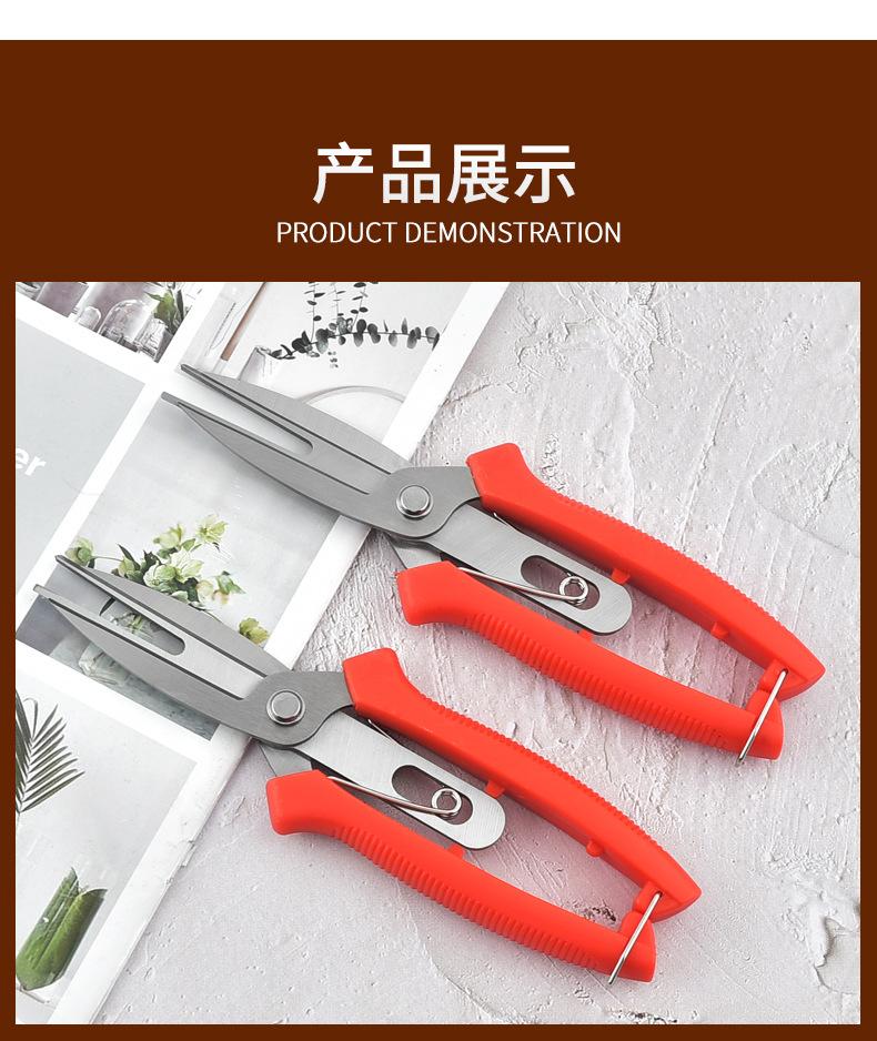 双头园艺剪刀_08.jpg