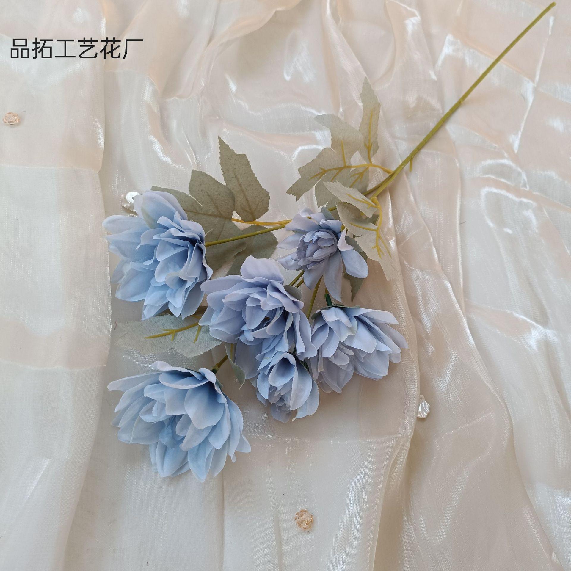 1d243083e86c426c6a753ea8face61