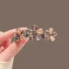 Nuevo Clip de Resorte Combinado Moda Japonesa y Coreana Clip Superior de Cristal de Imitación Pasador de Pelo de Alta Gama Pasador Clip Horizontal Accesorio para el Cabello Clip para Cola de Caballo
