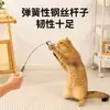 Caña de Juguete para Gatos Bebés, Resistente a Mordeduras con Cascabel y Plumas, Juguete para Mascotas Autoentretenido con Cable de Acero Extra Largo, Suministros para Gatos, Juguete para Gatos