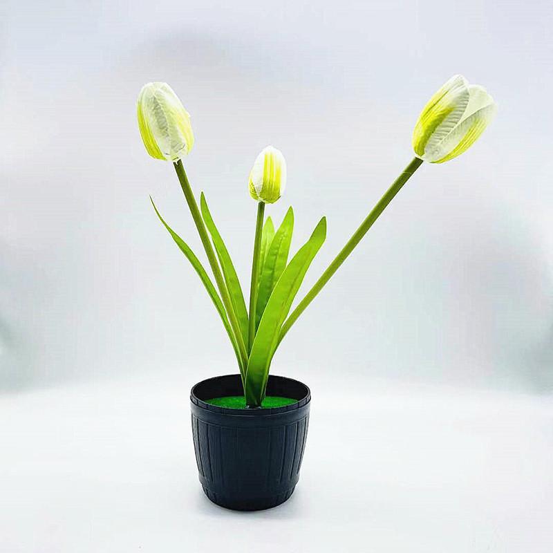 微信图片_20211001170600_副本