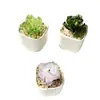 Maceta de Flor de Peonía de Vidrio Zibo Planta Flor de Vidrio Artificial Regalo del Día de la Madre Decoración de Escritorio Coche Artesanía