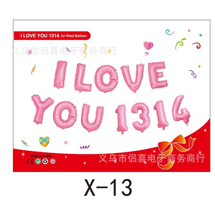 X-13