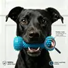 Palitos para masticar para mascotas para un cepillado rápido de dientes, un nuevo producto transfronterizo diseñado para una limpieza dental más fácil