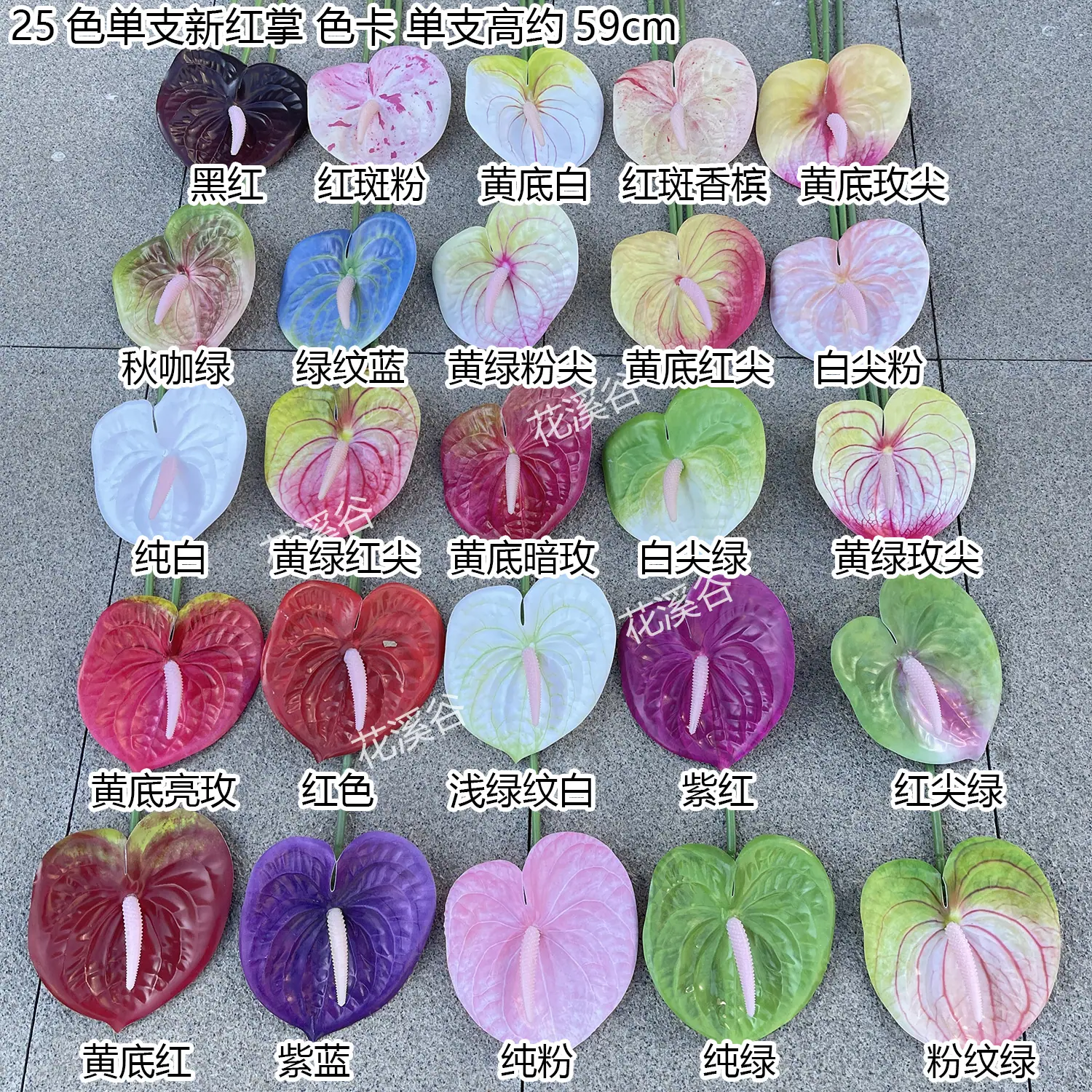 25色单支新红掌 色卡 花溪谷.jpg