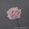 Flor de Rosa Artificial de Tallo de Hierro de Cabeza Única Materiales de Decoración de Bodas Tienda de Centro Comercial al por Mayor Pared de Flores para Paisajismo Flores Artificiales