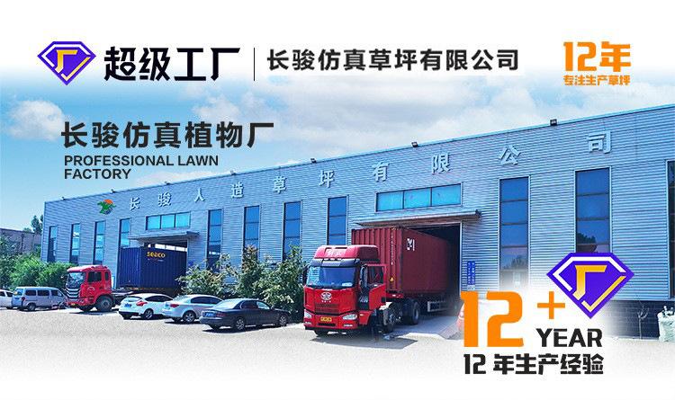 O1CN012aJ0xI207pECyMeb4_!!2467