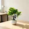 Adornos de Plantas Verdes Mini al por Mayor Decoración de Escritorio Tira de Planta de Simulación Maceta Rayada Pino de Bienvenida Verde Planta Pequeños Adornos
