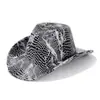 Estilo Étnico Novo Transfronteiriço Padrão de Cobra Outono e Inverno Novo Top de Lã Estampado Coração de Pêssego Chapéu de Cowboy Ocidental Chapéu Jazz