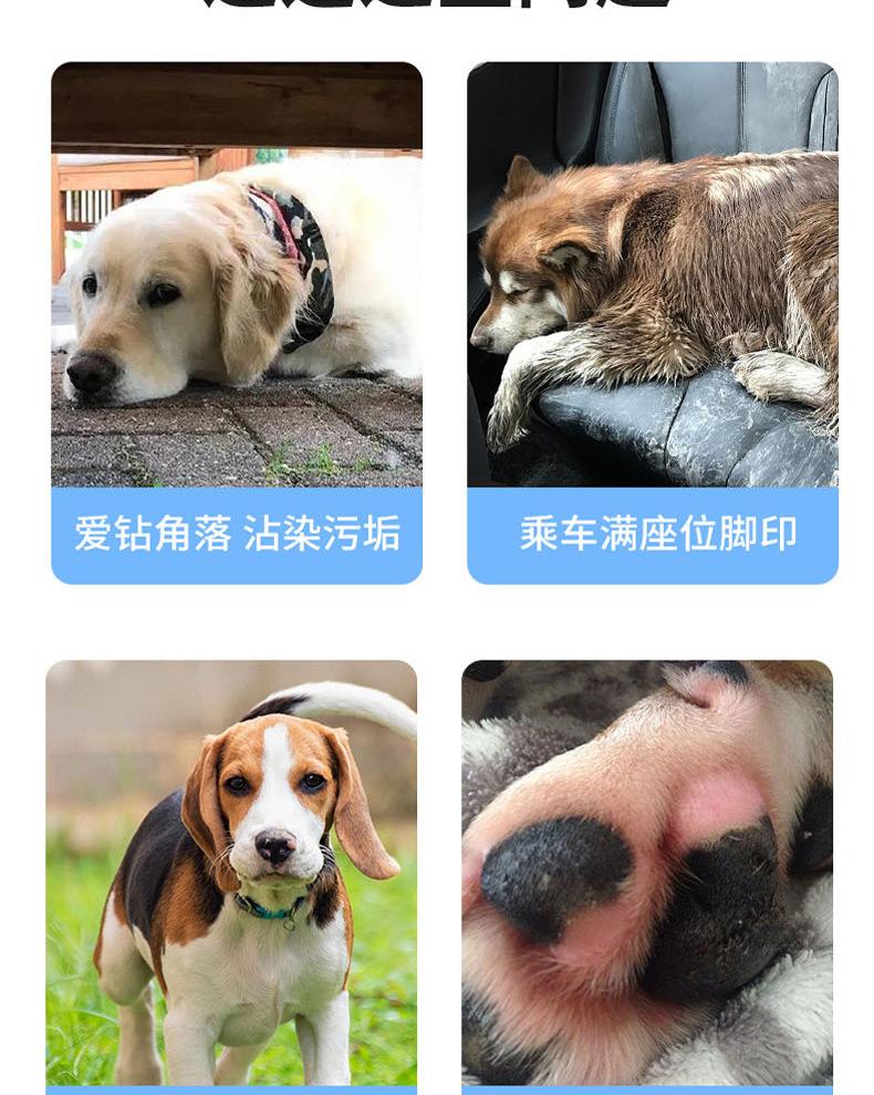 分段_04.jpg