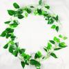 Folhas de Uva Artificiais, Batatas Doces, Pothos, Hera, Vinhas Falsas, Plantas Verdes, Decoração de Envolvimento de Tubos de Ar Condicionado de Teto Interno Atacado