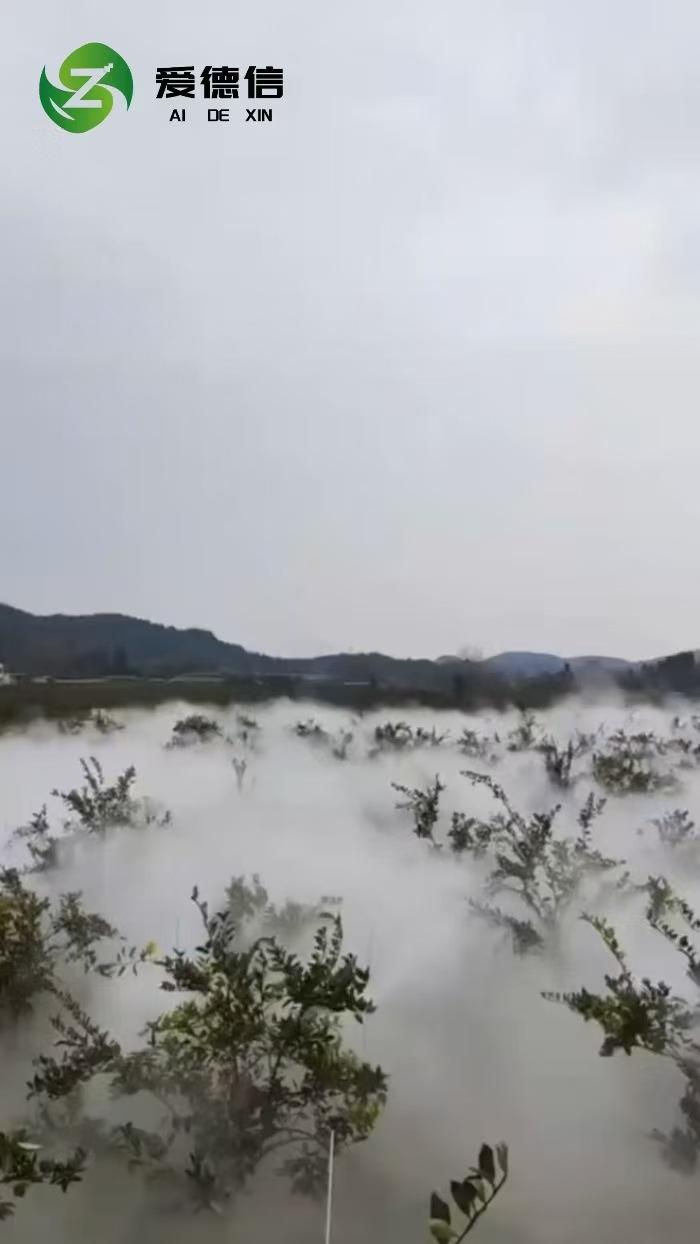 微信图片_20241216223616