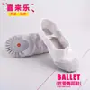 Sapatos de dança atacado sola macia verão e outono sapatilhas de balé garra de gato dois sapatos baixos sapatos de prática de dança para adultos sapatos de yoga
