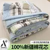 2026 Nuevo Estilo Hilo Esponjoso Colcha para Aire Acondicionado Rellena de Algodón de Xinjiang, Colcha de Verano para Camas Individuales y Dobles, Colcha Fina de Verano para Uso Doméstico